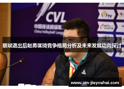 蔡斌退出后赵勇匡琦竞争格局分析及未来发展动向探讨 蔡斌退出后赵勇匡琦竞争格局分析及未来发展动向探讨